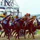 Illustration for article titled Your Belmont Stakes Open Thread